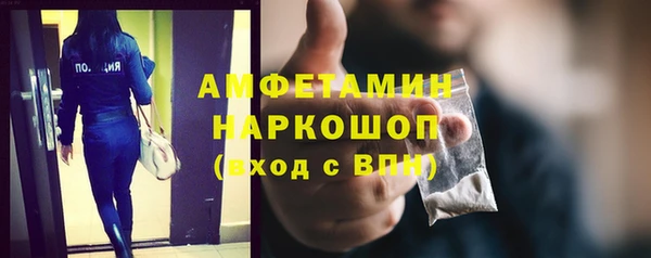 сатива Медногорск