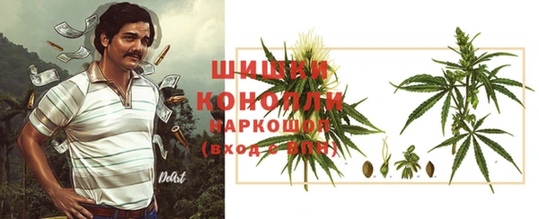 сатива Медногорск