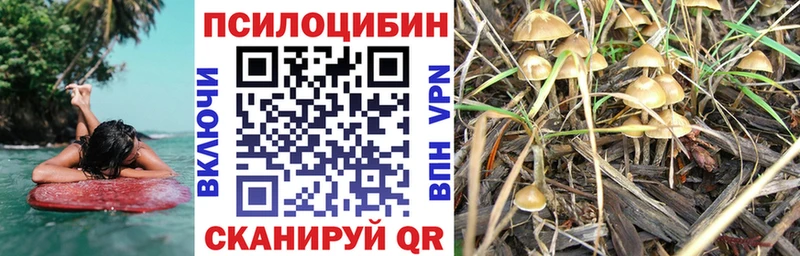 цены наркотик  Новокубанск  Галлюциногенные грибы мицелий 