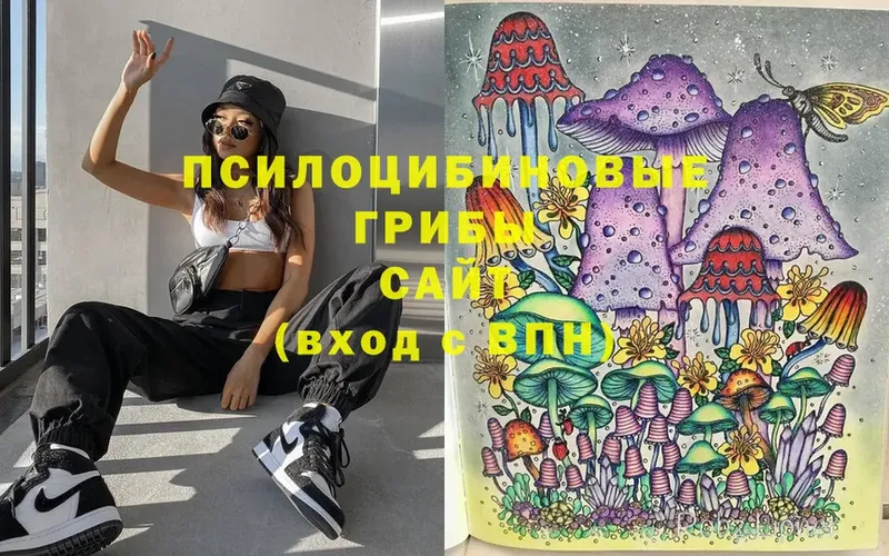 Псилоцибиновые грибы Psilocybe  маркетплейс официальный сайт  Новокубанск 