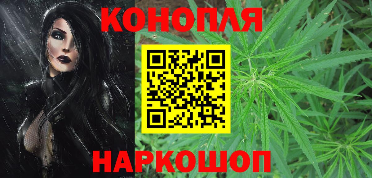 Каннабис MAZAR Новокубанск